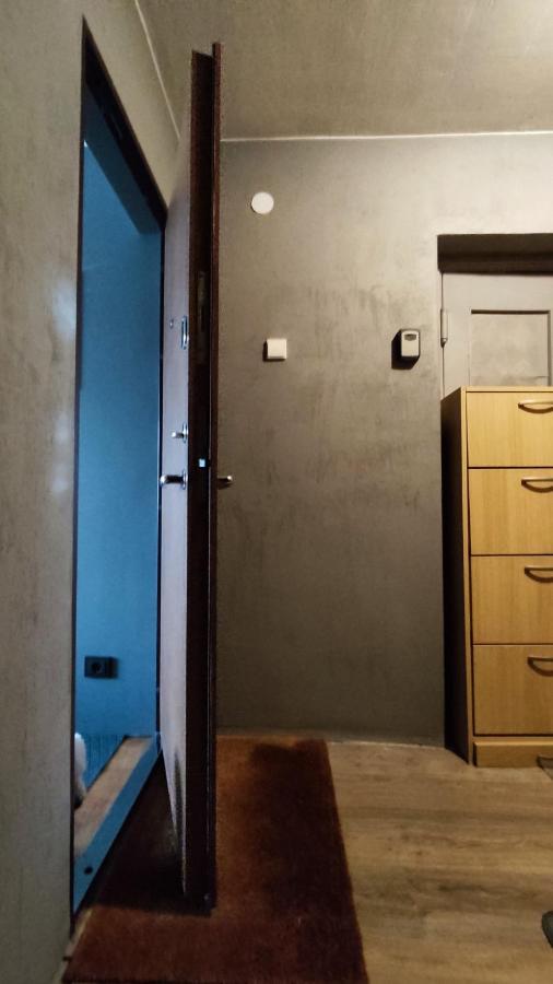 Dabintos Apartament دروسكينينكاي المظهر الخارجي الصورة