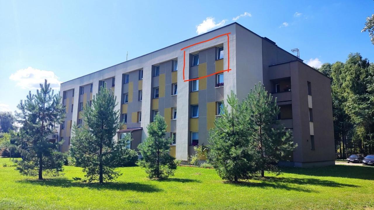 Dabintos Apartament دروسكينينكاي المظهر الخارجي الصورة